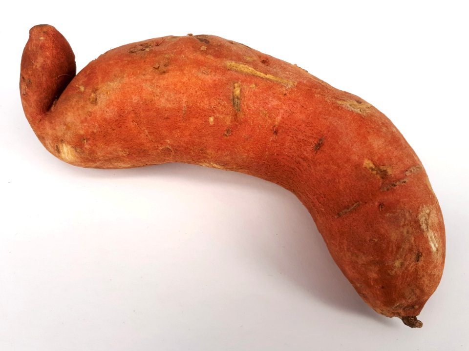 Curved sweet potato 2017 A