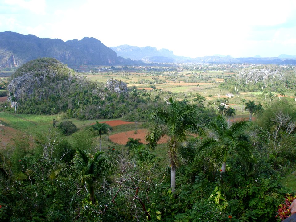 CUBA. VINALES (7)