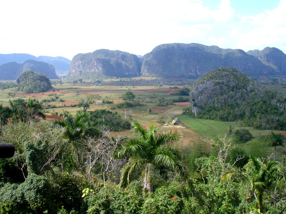 CUBA. VINALES (10)