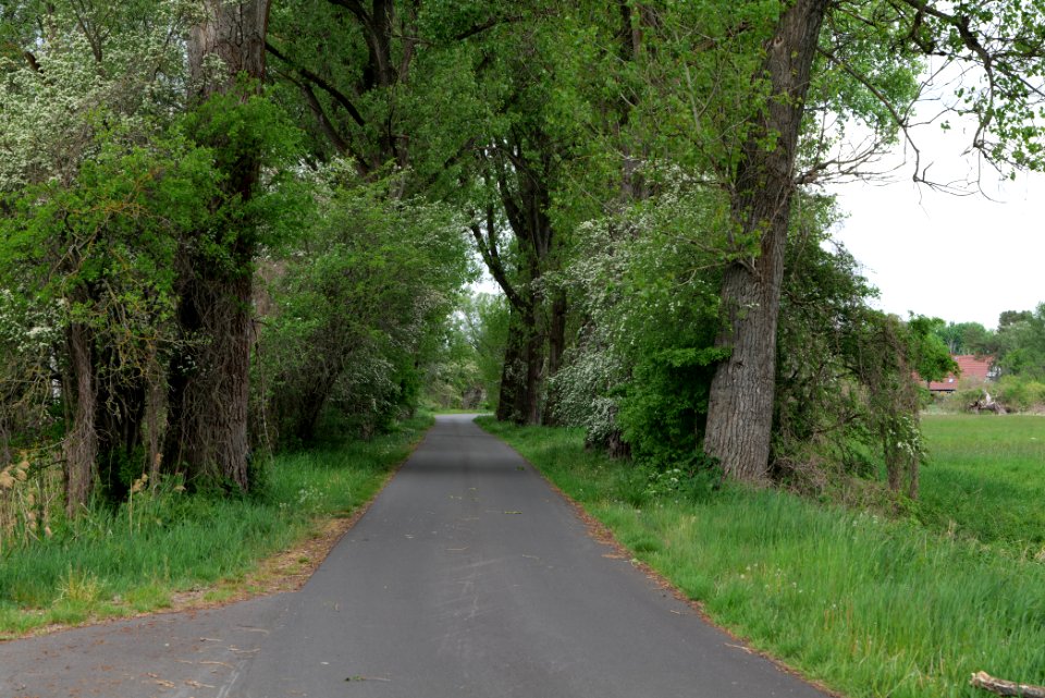 Cyclestreet in Fehrbellin 2020-05-15 09