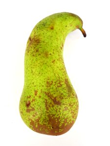 Curved conference pear 2017 C