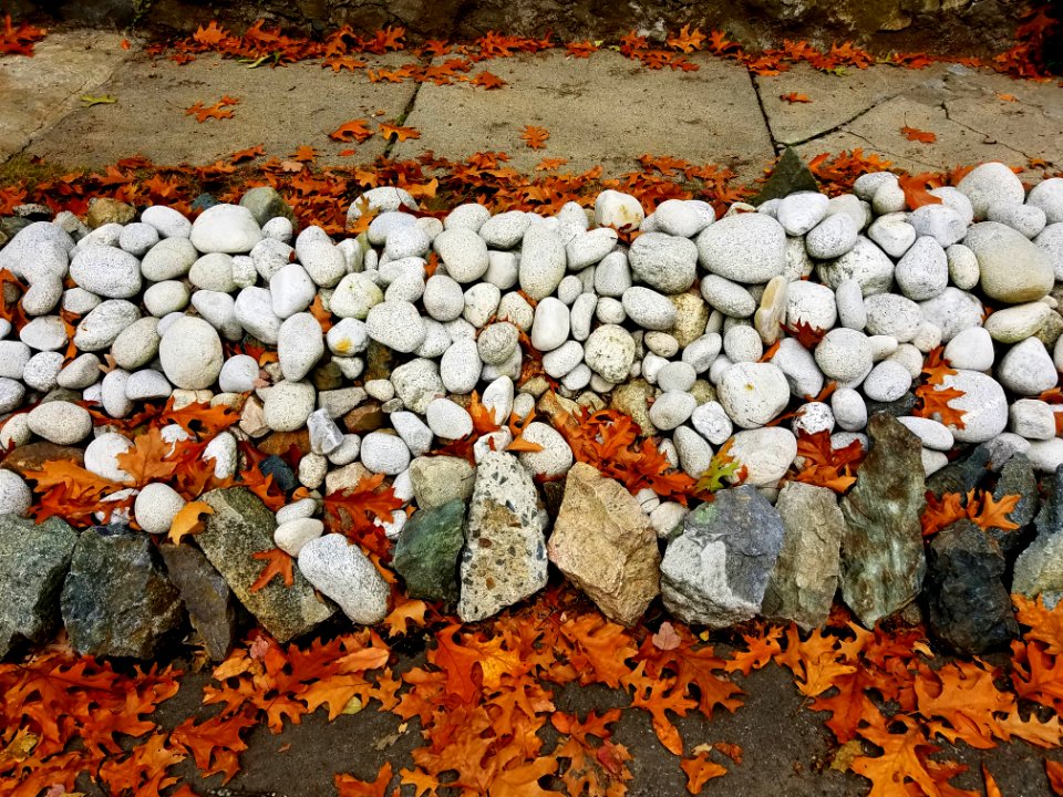 Curbstones - Arlington, MA - 20201020 093333