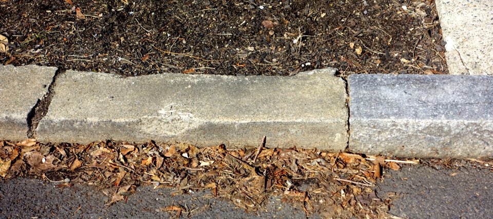 Curbstone - Arlington, MA - DSC08704