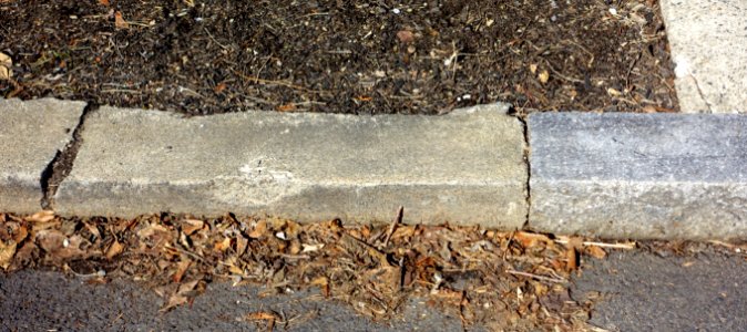 Curbstone - Arlington, MA - DSC08704