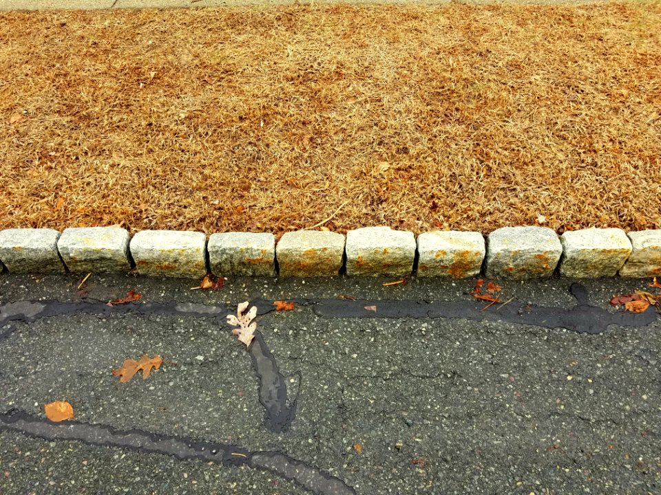 Curbstones - Arlington, MA - 20200320 110909