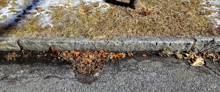 Curbstones - Arlington, MA - DSC08357