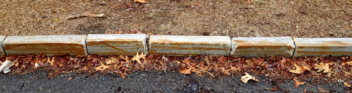 Curbstones - Arlington, MA - DSC09598