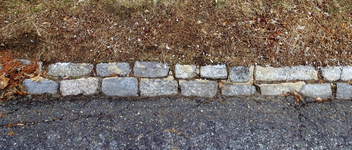 Curbstones - Arlington, MA - DSC08359