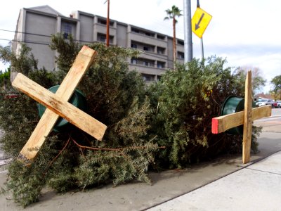Curbside Christmas trees SFV 2016-12-30