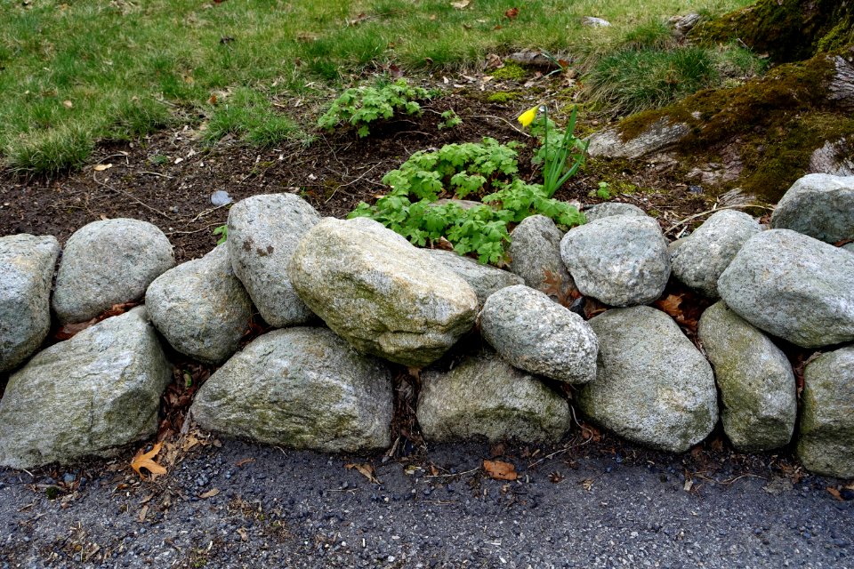 Curbstones - Arlington, MA - DSC00459