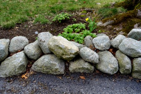 Curbstones - Arlington, MA - DSC00459