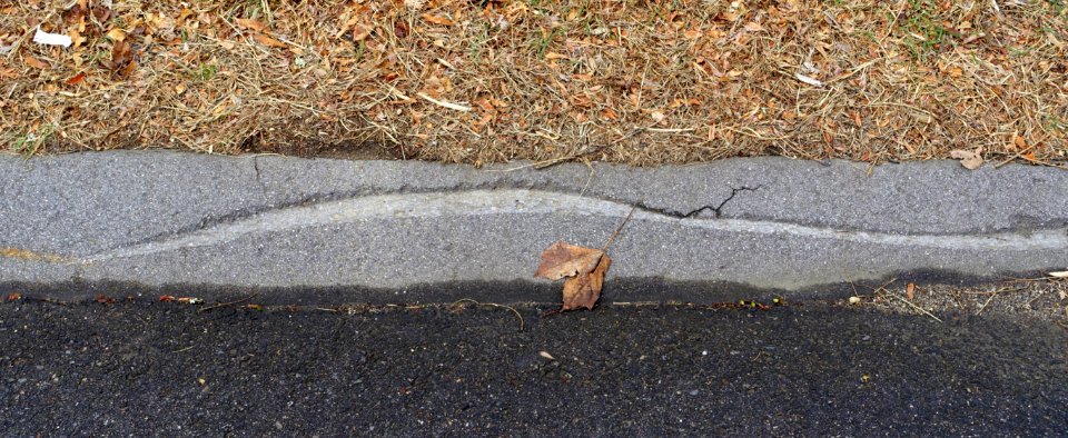 Curb - Arlington, MA - DSC09632