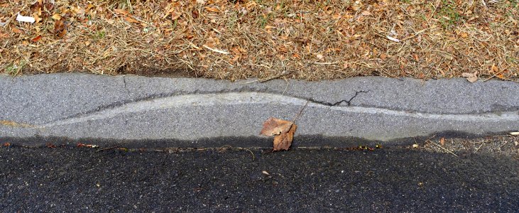 Curb - Arlington, MA - DSC09632
