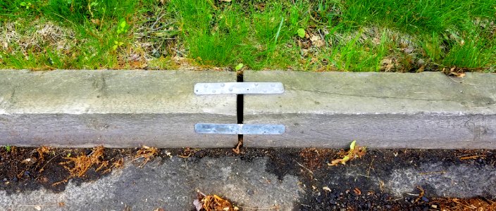 Curb - Arlington, MA - 20200606 090952