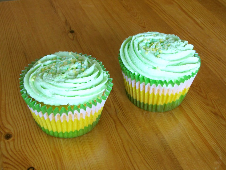 Cupcakes 110423