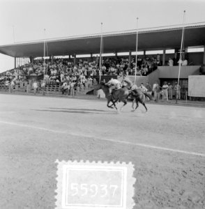Curacao Rifstadion Paardenrennen, Bestanddeelnr 905-5937