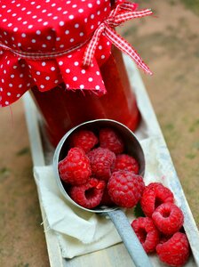 Fruit berry berry red