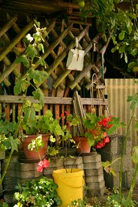 Gardening after work flower pots