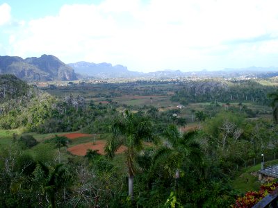 CUBA. VINALES (6)