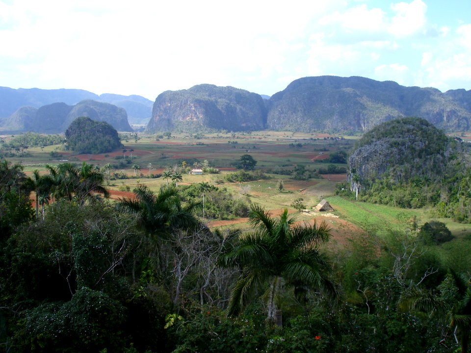 CUBA. VINALES (1)