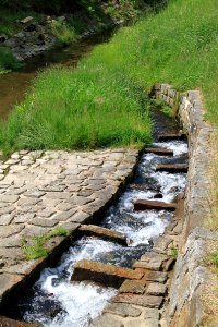 Cunewalde 2012-05-28-7942