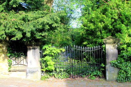 Cumberland Road 2019-04-28 (7)