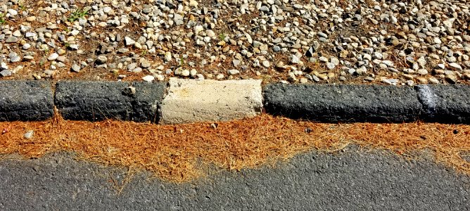 Curb - Arlington, MA - 20200615 091114
