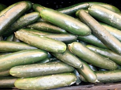 Cucumbers in a pile photo
