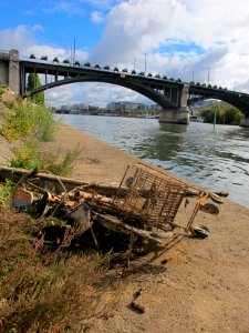 Déchets sur les quais de CourbevoieMG 3398 02 photo