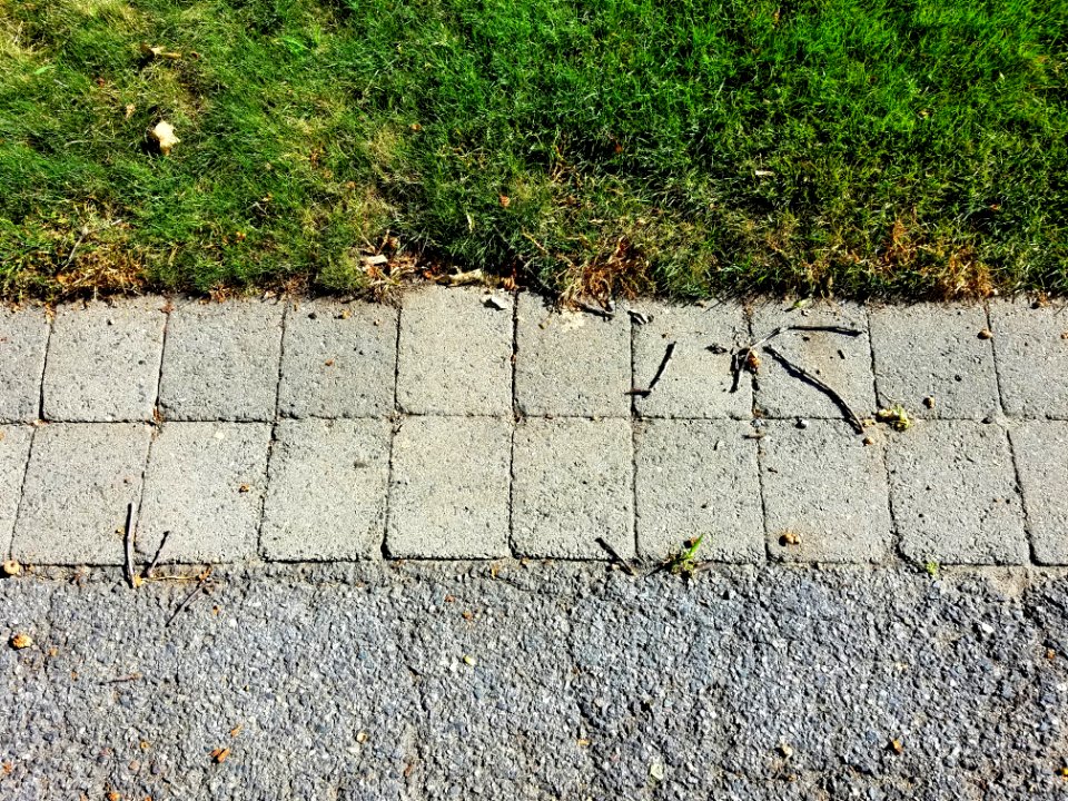 Curbstones - Arlington, MA - 20200813 090630
