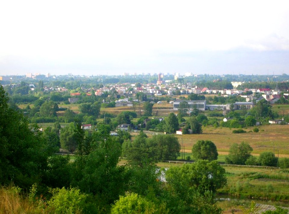 Czyżkówko z Piasków 8