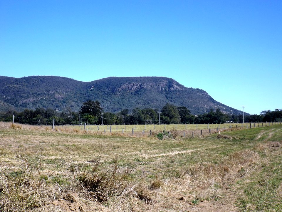D'Aguilar Range Neurum Queensland