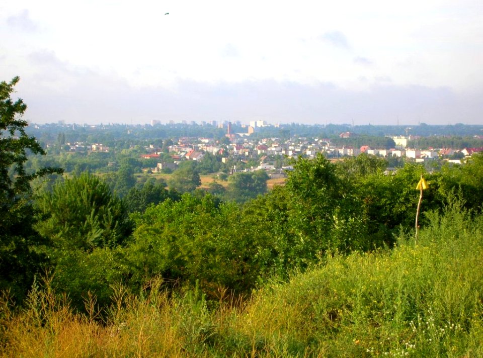 Czyżkówko z Piasków 4