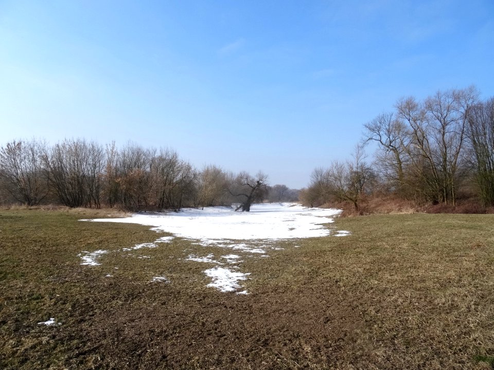 Czarnowo Vistula st 3