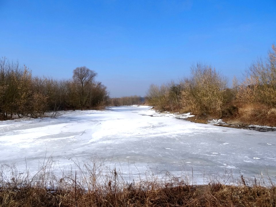 Czarnowo Vistula st 5