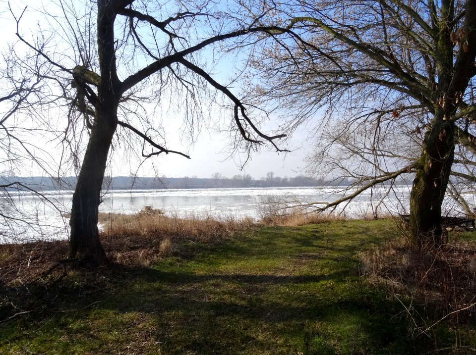 Czarnowo Vistula st 7