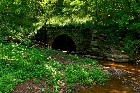 Culvert No 65 on Chesapeake and Ohio Canal