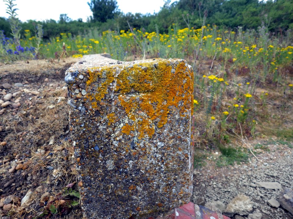 Culvert, Normans Bay Road, Normans Bay