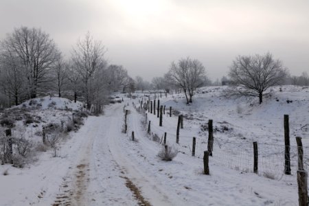 Döberitzer Heide round trail with snow 2021-02-14 98