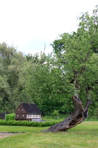 Cunewalde 2012-05-28-7936