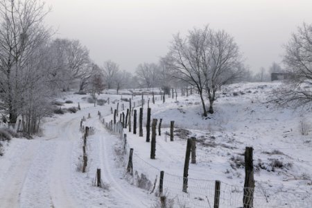 Döberitzer Heide round trail with snow 2021-02-14 96