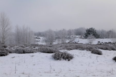 Döberitzer Heide with snow 2021-02-14 130