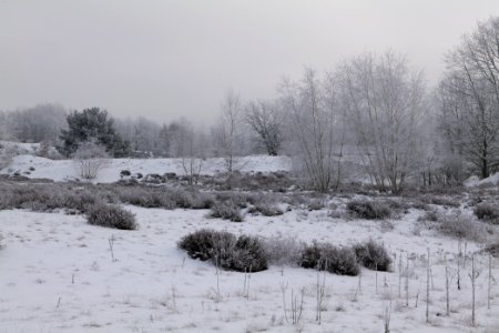 Döberitzer Heide with snow 2021-02-14 127
