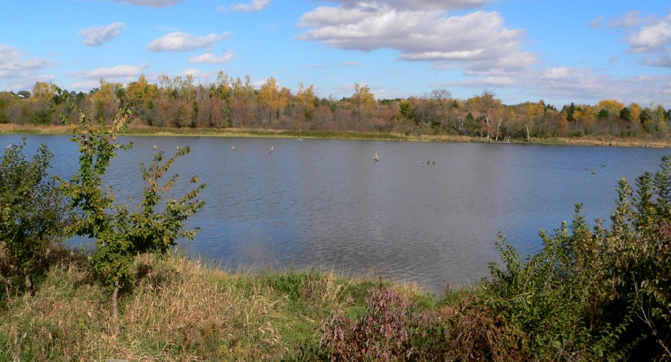 Czechland Lake upper end 1