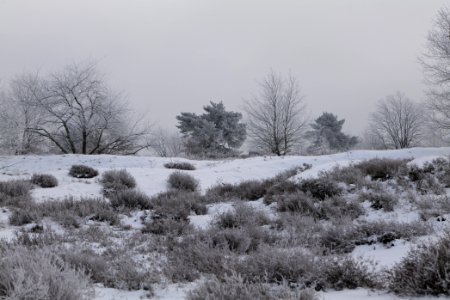 Döberitzer Heide with snow 2021-02-14 117