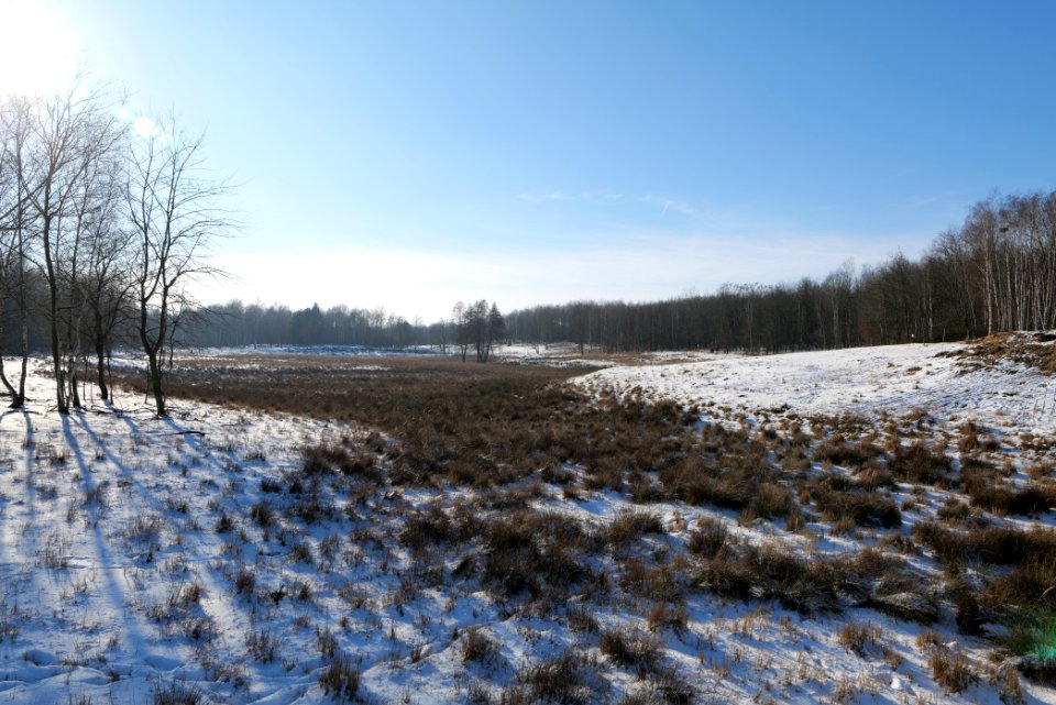 Döberitzer Heide with snow 2021-02-14 238