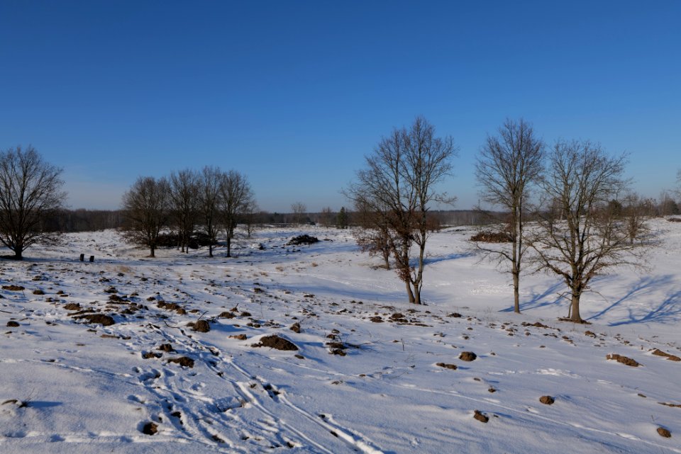 Döberitzer Heide with snow 2021-02-14 223