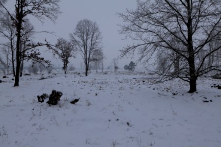 Döberitzer Heide with snow 2021-02-14 40