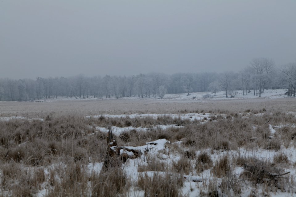 Döberitzer Heide with snow 2021-02-14 29