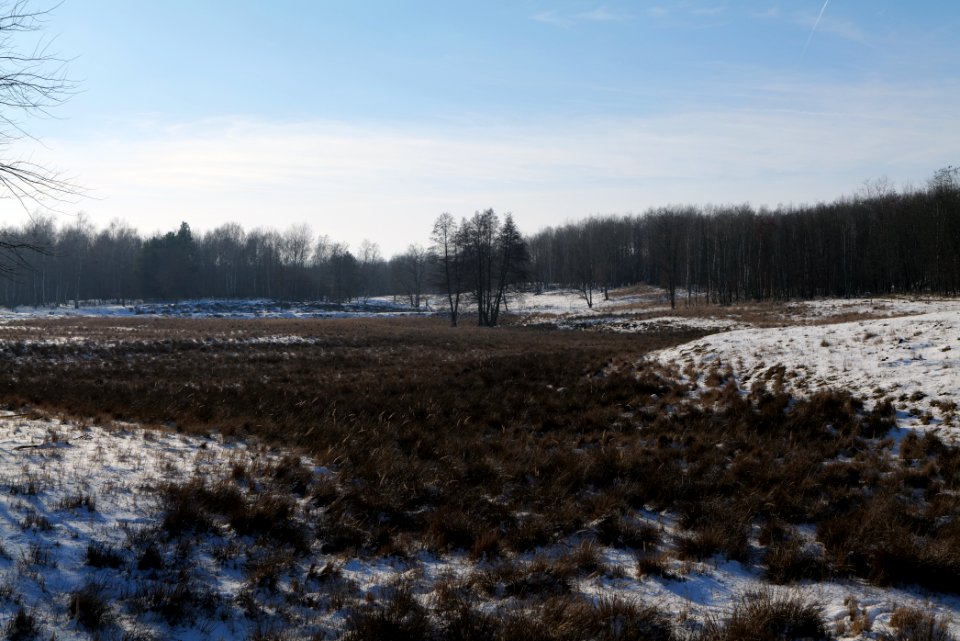 Döberitzer Heide with snow 2021-02-14 241